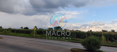 Terreno En Venta En Col. Emiliano Zapata En Avenida Principal Cerca Del Centro De Cuautla