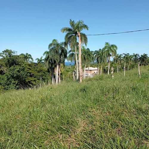 Imagen 4 de 9 de Lote En El Sector Catalina, Municipio Cabrera