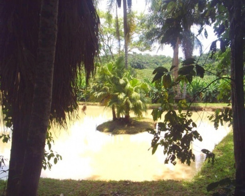 Imagem 14 de 30 de Sítio À Venda Em Miracatu - 163 - 32982536