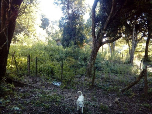 Imagem 8 de 11 de Sítio À Venda, 3600 M² Por R$ 85.000,00 - Águas Claras - Viamão/rs - Si0103