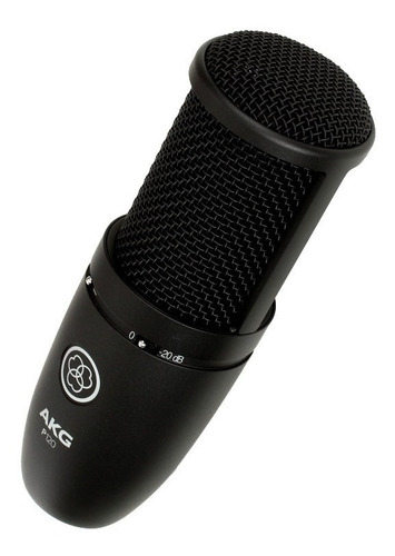 Imagen 5 de 9 de Micrófono Condenser Akg P120 Cardioide De Estudio Perception