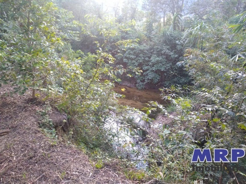 Imagem 6 de 12 de Terreno Em Ubatuba, Com Natureza Exuberante, Acesso Ao Rio, 1.500m², Bairro Residencial. - Te00142 - 34370754