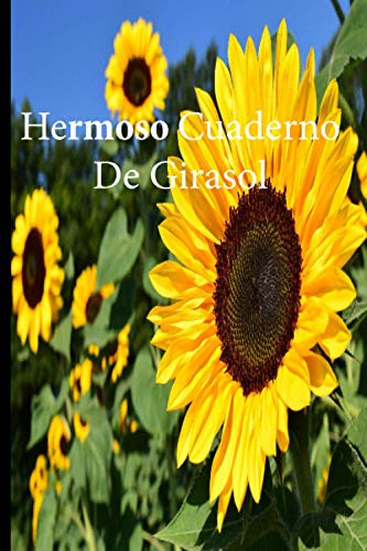 Hermoso Cuaderno De Girasol: Lleve Un Registro De Todas Sus