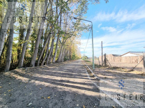 Imagen 8 de 8 de Venta Terreno - Rui Limay - Plottier