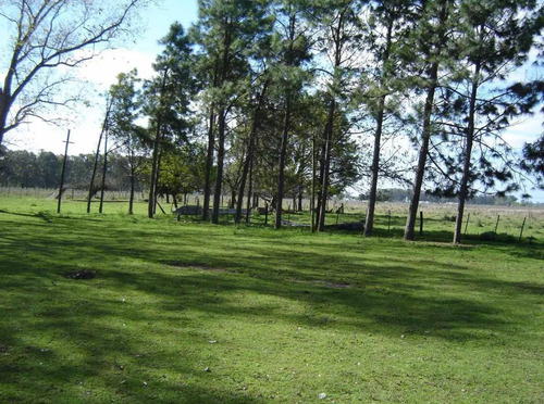 Campo 15,5 Has, Excelente . Oportunidad!!