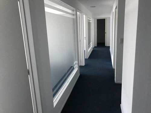 Imagen 5 de 30 de Centro - Importantes Oficinas En Alquiler De Piso Completo