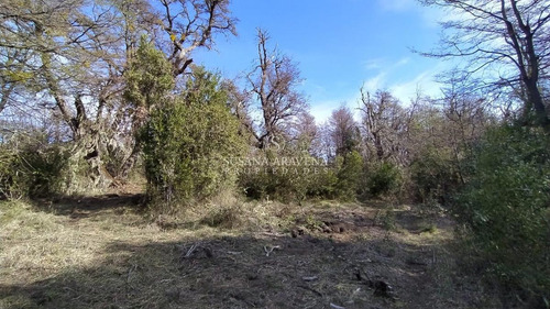 Imagen 23 de 30 de Susana Aravena Propiedades-lote En Venta En Vallescondido