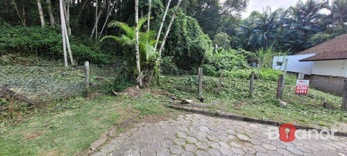 Imagem 3 de 16 de Terreno À Venda, 1028 M² Por R$ 470.000,00 - Itoupava Seca - Blumenau/sc - Te0200