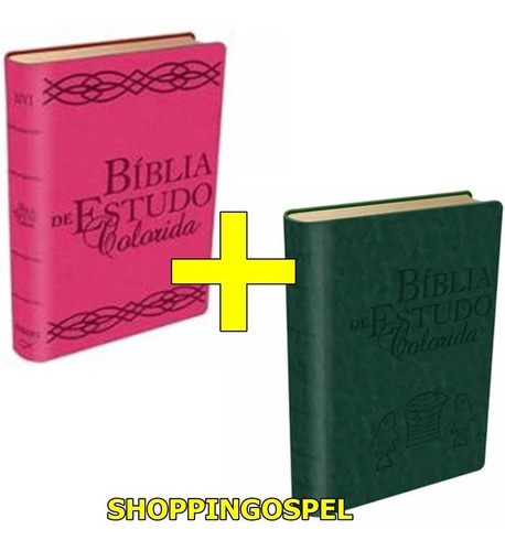 Kit 02 Bíblias De Estudo Colorida Rosa + Verde