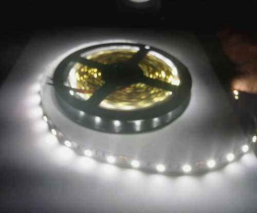 Cinta Led 5050 12v Rollo 5m Luz Blanca Interiores 300 Led