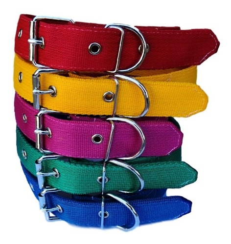 Collar Para Perros Grandes + Envío Gratis