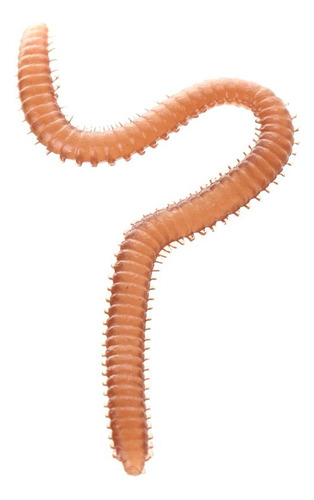 4 De Goma Señuelos De Pesca