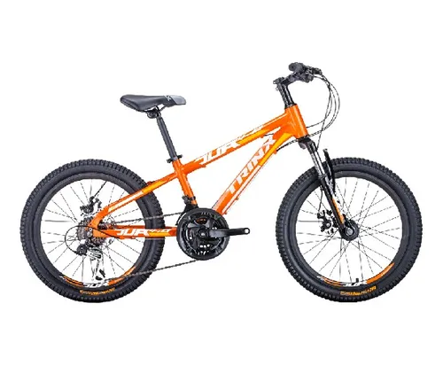 Bicicleta trinx aro 20 sale