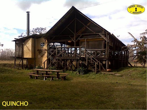 0929hp135 Ha Rio Parana Rn 197-islas Del Paraná-tigre