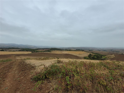 Imagen 6 de 13 de Agrícola En Venta En Galvarino