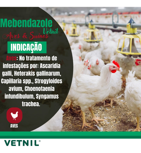 Mebendazole Caixa Com 20 X 30 Gr (vermifugo P/ Aves, Suínos)