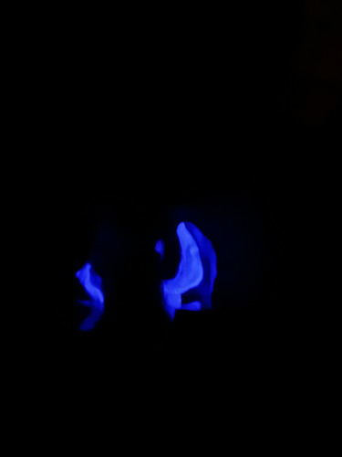 Funko Pop Dragon Ball Super Goku Ultra Instinct 1694 Glow Ht