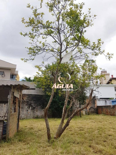 Imagem 16 de 17 de Terreno À Venda, 1000 M² Por R$ 3.500.000,00 - Vila Alzira - Santo André/sp - Te0266