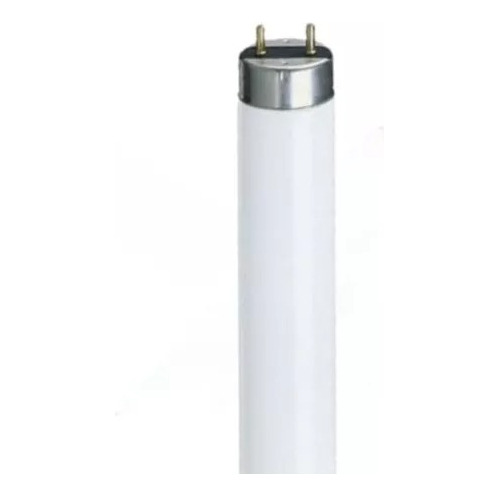 Lâmpada Fluorescente 15w Luz Dia 6500k 45cm T8 Base 