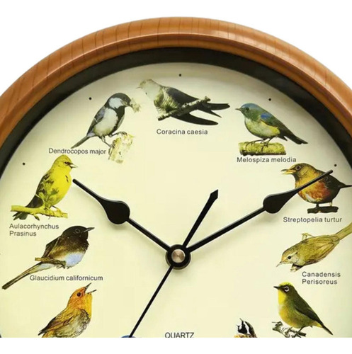 Reloj De Pared De Pájaro Minimalista Silencioso Que Reloj ,