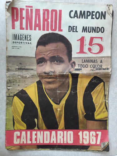 Peñarol Campeon Del Mundo 1967 15 Láminas Color Calendario 