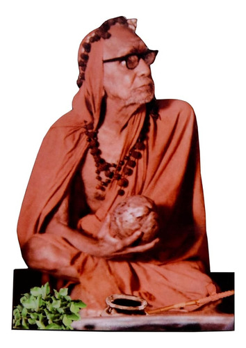 Vils Kanchi Jagadguru Sri Sankaracharya Maha Periyava Divina