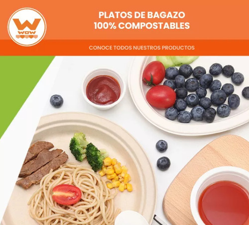 Plato Redondo #10 Biodegradable 26cm Bagazo 10 Pzs