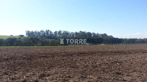 Imagem 3 de 6 de Área À Venda Em João Aranha - Ar002950