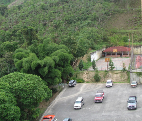 Imagen 11 de 12 de Carrizal
