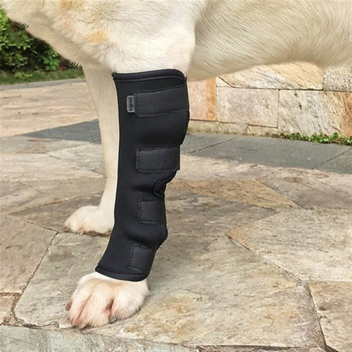 Soporte Para Piernas Para Perros, Codera Y Rodillera Para Ma