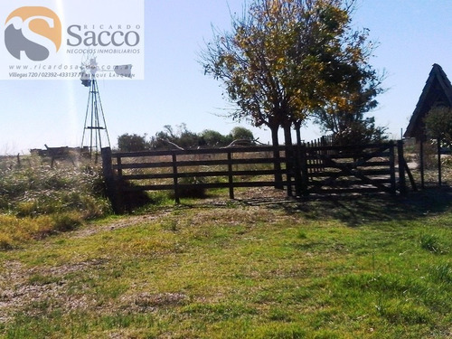 Chacra En Venta En Distrito De #trenquelauquen