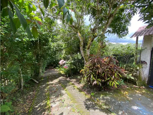 Venta Finca Amoblada - El Triunfo 6hb Mesitas El Colegio