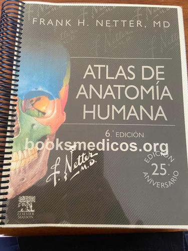 Atlas De Anatomía Netter