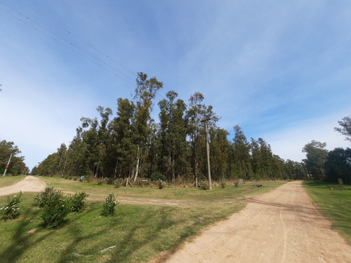 Estancia Estrella Federal Ramallo Lote 51