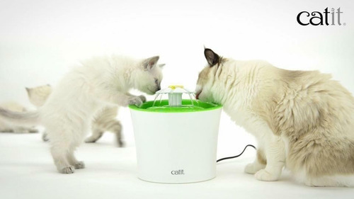 Fuente Bebedero Gato 3 Lts Catit Recirculante Filtro Agua F