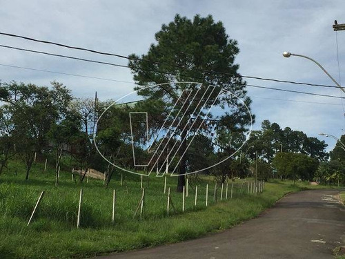 Imagem 2 de 5 de Terreno Á Venda E Para Aluguel Em Bairro Das Palmeiras - Te225075
