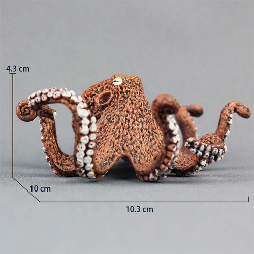 Decoración De Organismos Marinos Con Modelo Animal De Pulpo