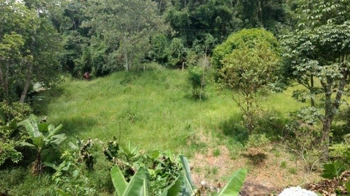 Imagem 13 de 15 de Venda Chácara Com Lago Em Itapecerica Da Serra - Vi137