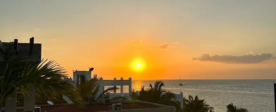 Caguama - Isla De Holbox - Lázaro Cárdenas - Quintana Roo