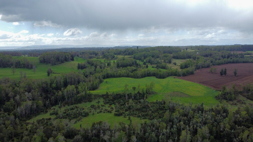 Campo En La Unión Cercano Al Lago Ranco 27,4 Hectáreas
