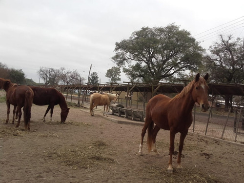 Imagen 10 de 10 de Terreno Venta La Arbolada San Lorenzo Chico 1000 M