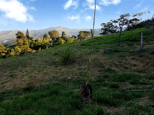 Venta Lote N°6 En Parcelación Campestre Dapa