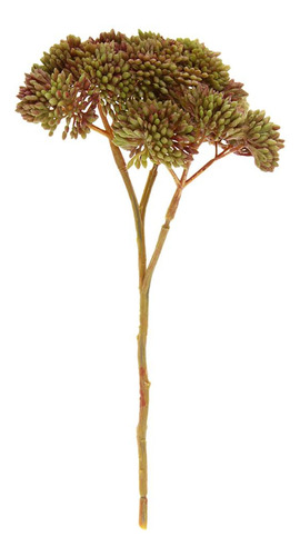 Planta Real Táctil