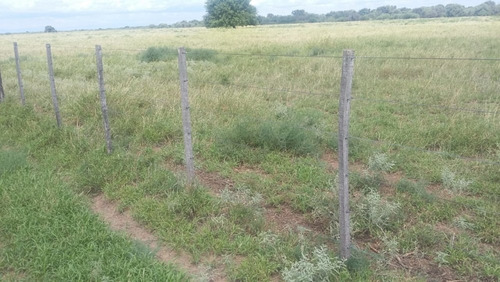 Imagen 20 de 30 de Se Vende Campo En Cordoba Listo Para Trabajarlo