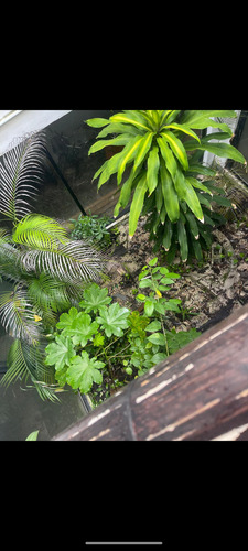 Edificio En Venta Con 4 Departamentos En Aldea Zama, Tulum