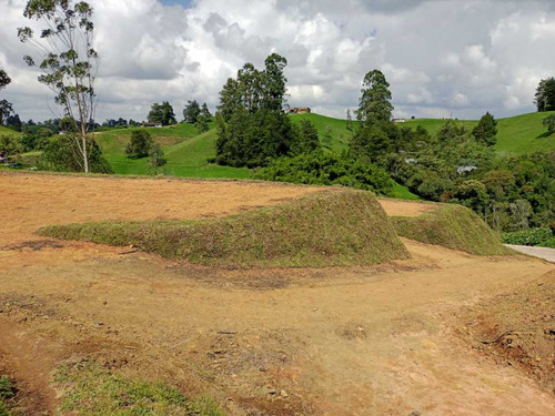 Hermosos Lotes En Venta En La Vereda Quirama Del Carmen De Víboral Ant