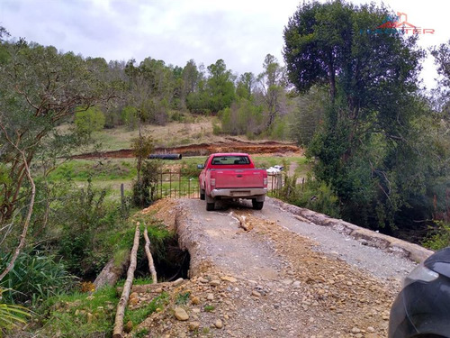 Agrícola Campo O Inmobiliario Loteo En Venta En Panguipulli