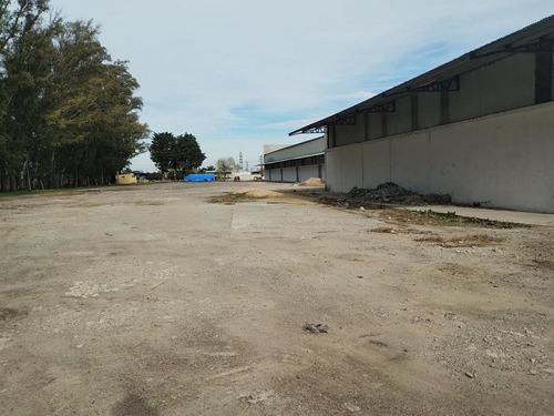 Deposito De 7.000m2 En Planta Con Frente Sobre Avda Antartida Argentina De 100 Ml, Techos Metalicos