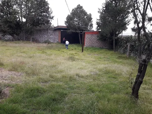 Finca Elsa Alicia (precio A Tratar)
