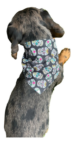 Pañoleta Perro Gato Catrina Doble Faz Bandana Mascotas Xs